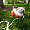 Wiggles the Dog Pull Toy