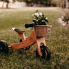 Wicker Bike Basket